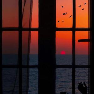 欧美一级一区二区在线观看
