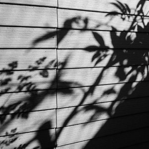 欧美一级一区二区在线观看
